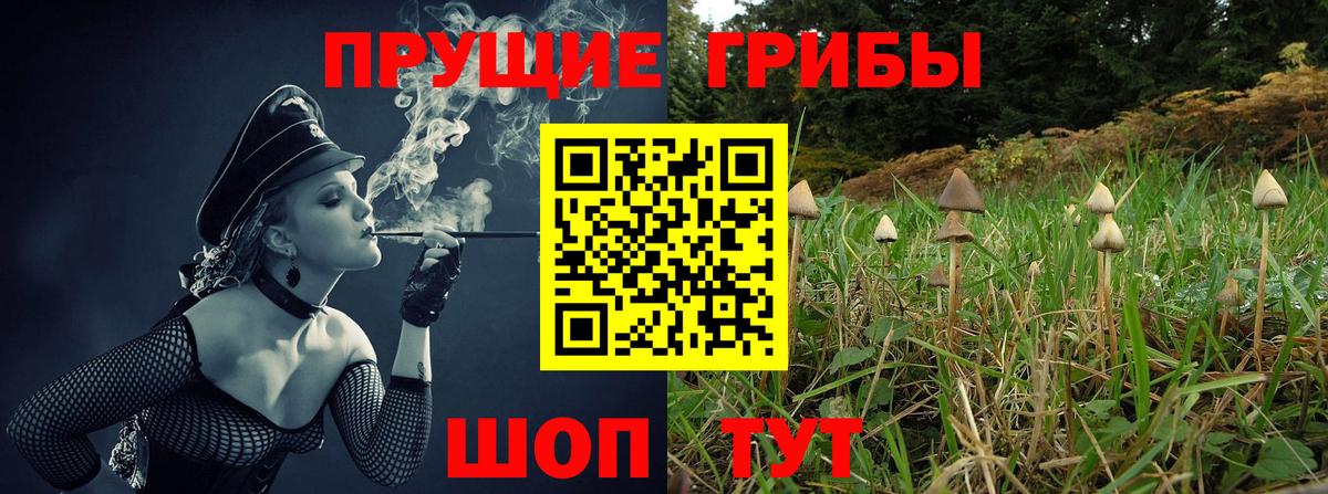 Псилоцибиновые грибы прущие грибы  Вход с VPN  Галлюциногенные грибы MAGIC MUSHROOMS  Ишим 